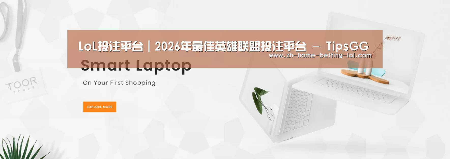 某某网络科技有限公司