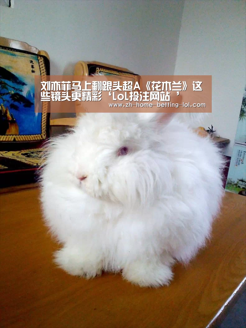 刘亦菲马上翻跟头超A《花木兰》这些镜头更精彩‘LoL投注网站 ’(图3) LoL投注网站