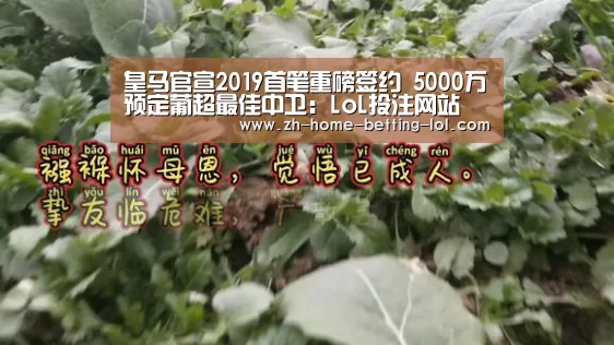  2026年最佳英雄联盟投注网站