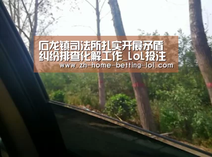 石龙镇司法所扎实开展矛盾纠纷排查化解工作_LoL投注网站 (图3) 2026年最佳英雄联盟投注网站